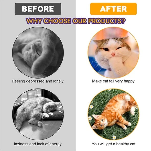 Hot Sale🐈Folded cat tunnel🔥Buy 2 Get 1 Free🔥